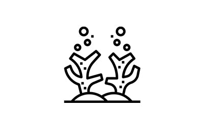 Reef Mineral Sunscreen